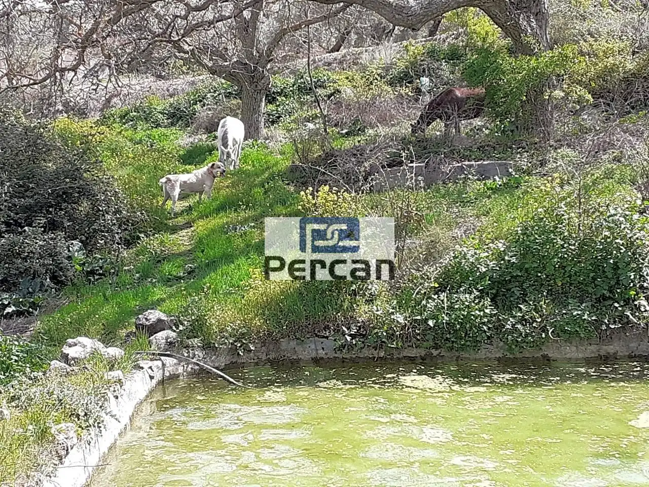 Residencial en venta en Cortes de Baza