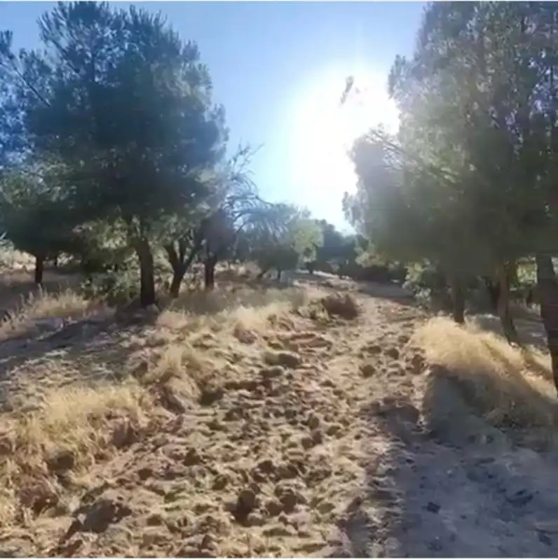 Terreny residencial en venda a Camino Huerto, imagen 4