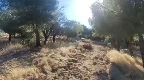 Foto 4 de Residencial en venda a Camino Huerto, Zona Monte El Pilar, Majadahonda