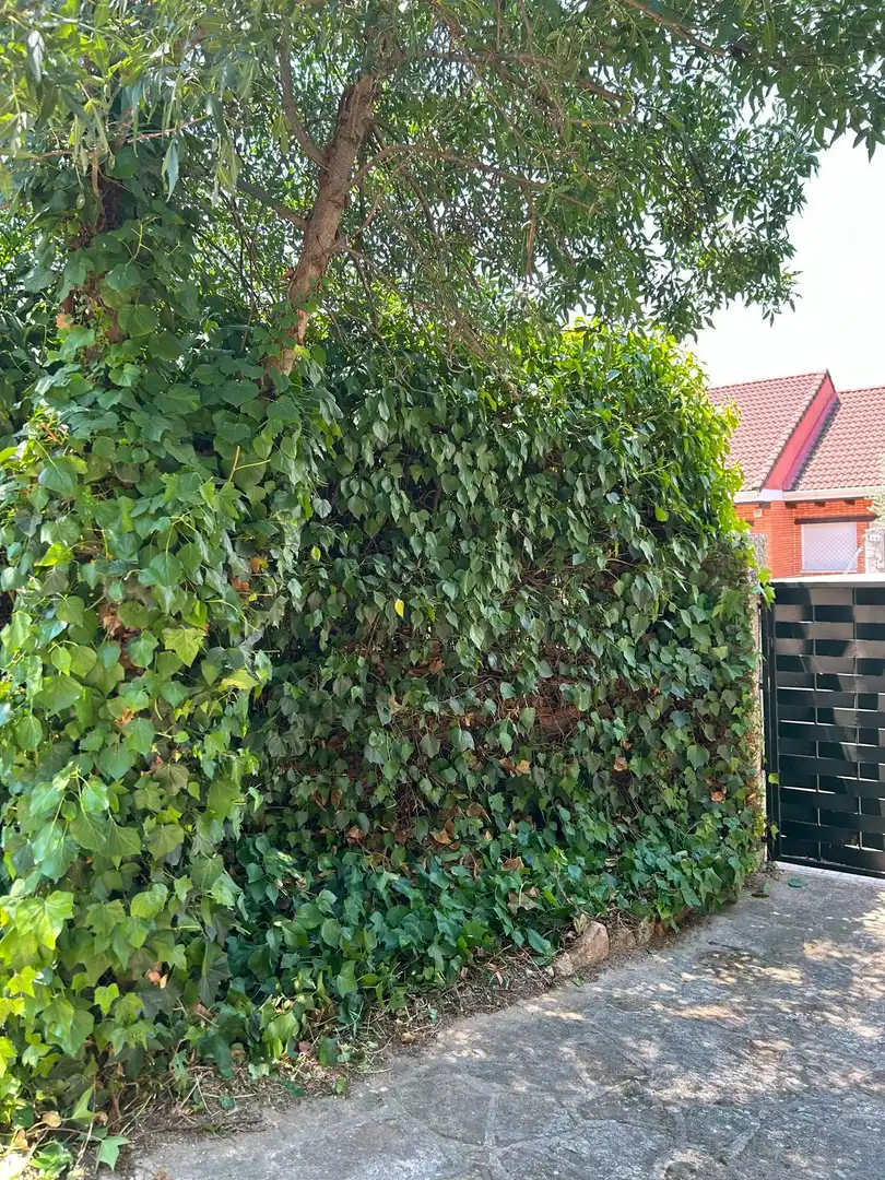 Casa amb jardí en venda a Colmenarejo, imagen 80