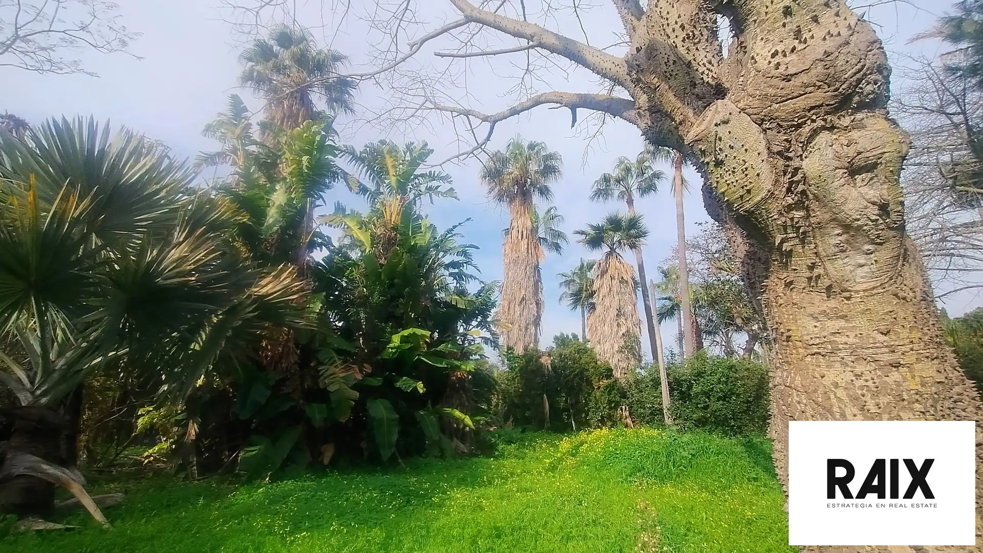 Terreni e lotti in vendita a Hacienda Las Chapas, imagen 20