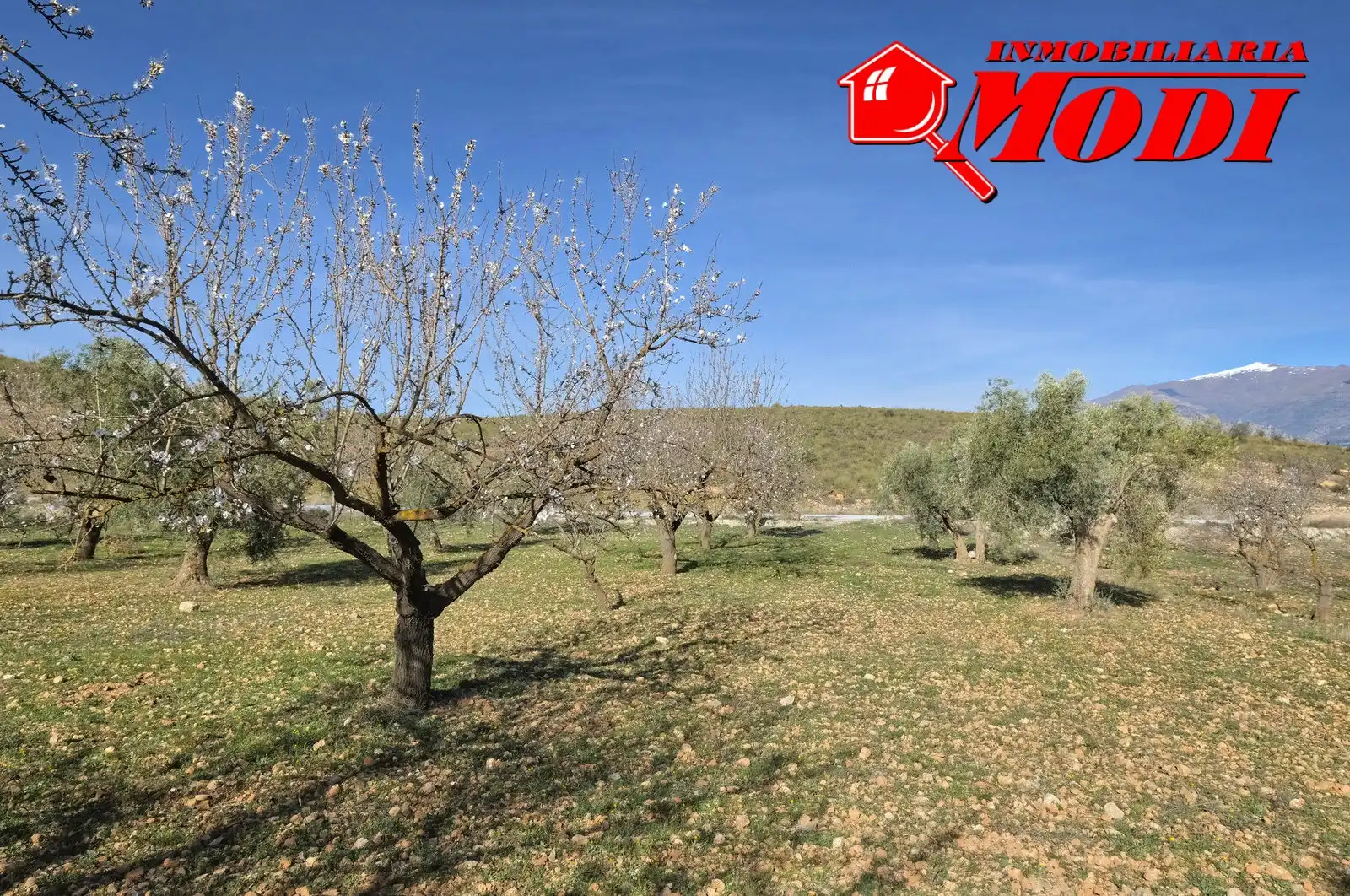 Terreni e lotti in vendita a El Valle, imagen 21