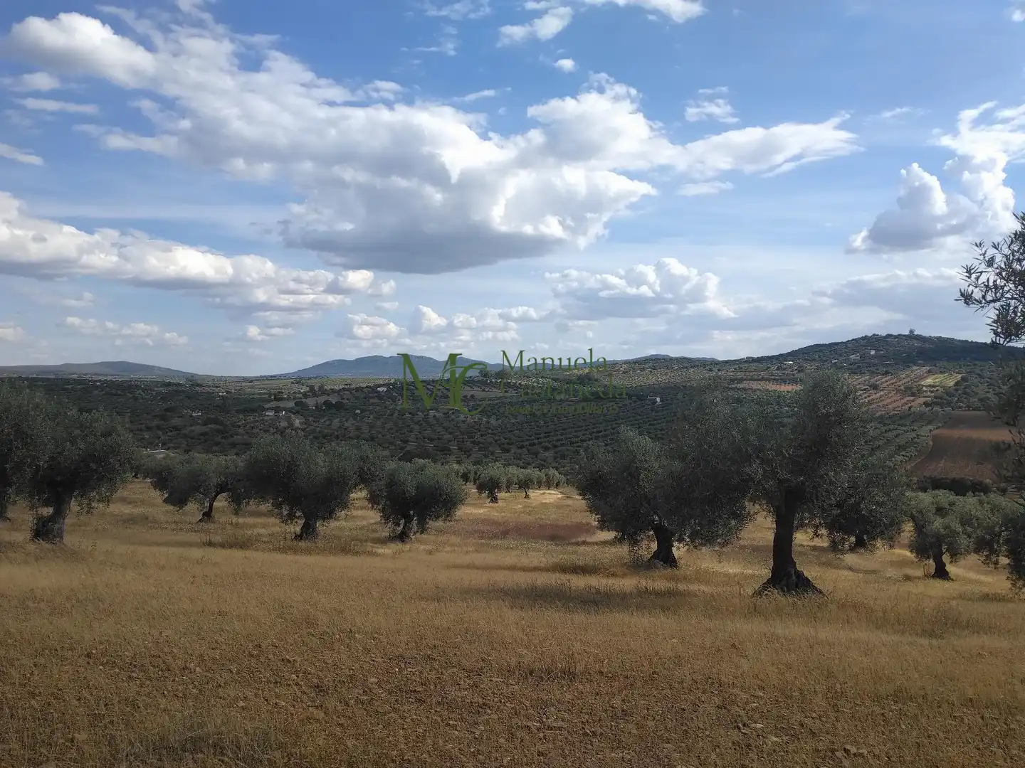 Grundstücke und Bauplätze zum Verkauf in Guareña, imagen 2