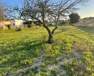 Finca rústica en venda en Puerto Real amb Jardí privat