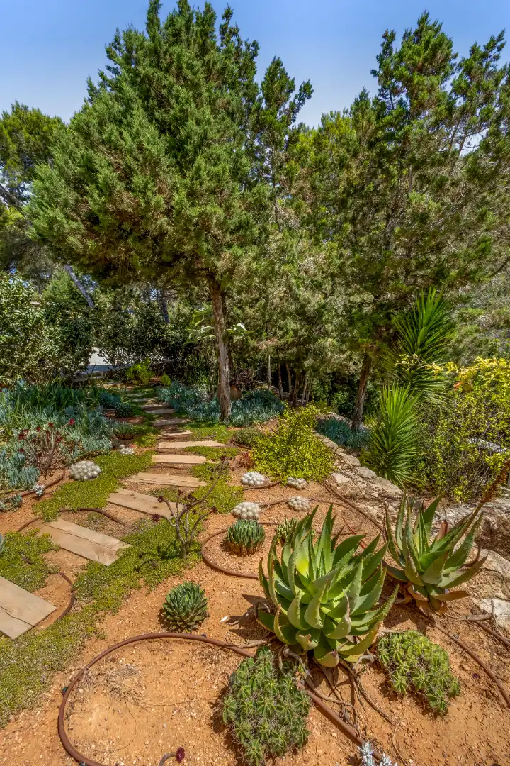 Jardí de Casa o xalet en venda en Santa Eulària des Riu amb Aire condicionat, Calefacció i Jardí privat