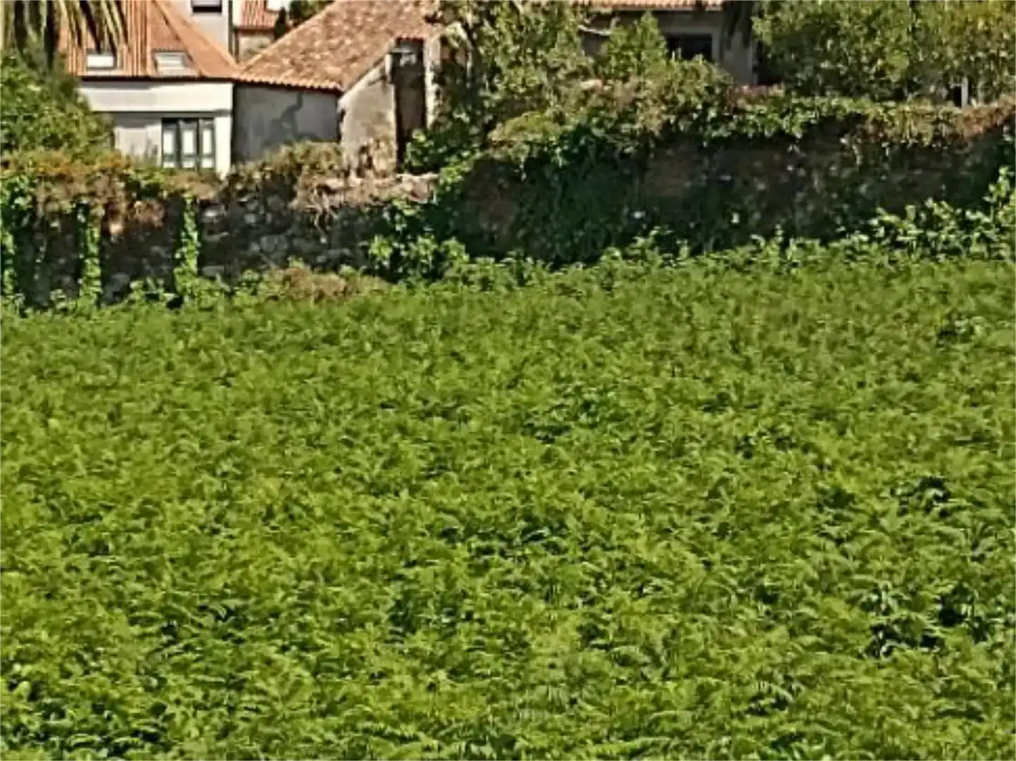 Residencial en venda a Rúa Tetuán, 5, A Pobra do Caramiñal