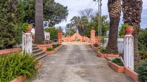 Foto 4 de Finca rústica en venda a Olivares, Sevilla