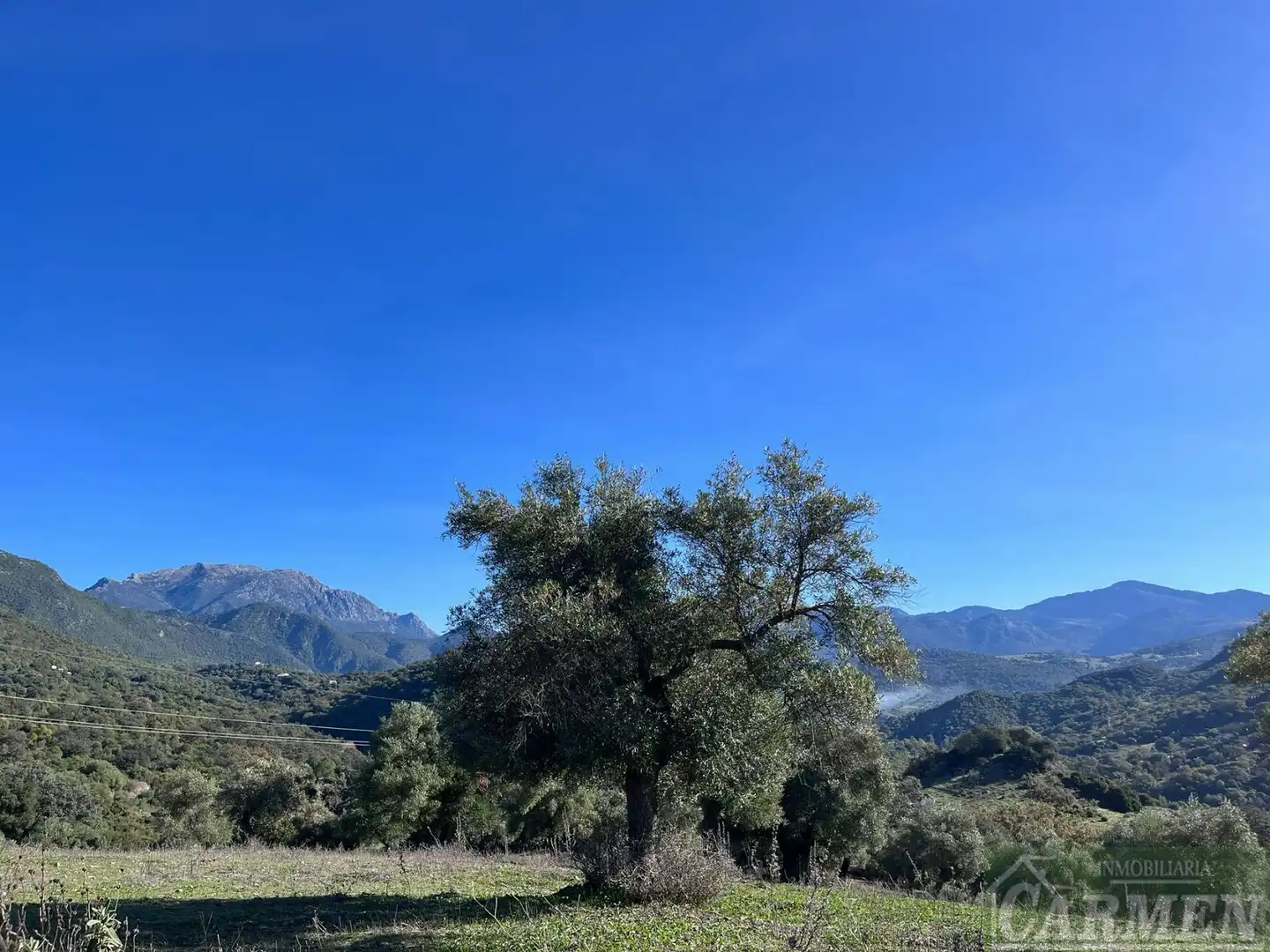 Vista exterior de Finca rústica en venda en El Bosque