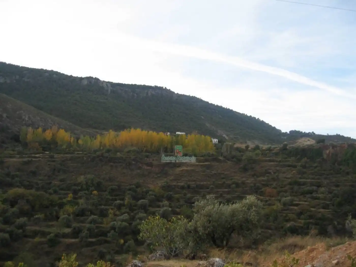 Rural land for sale in Iznalloz, imagen 2