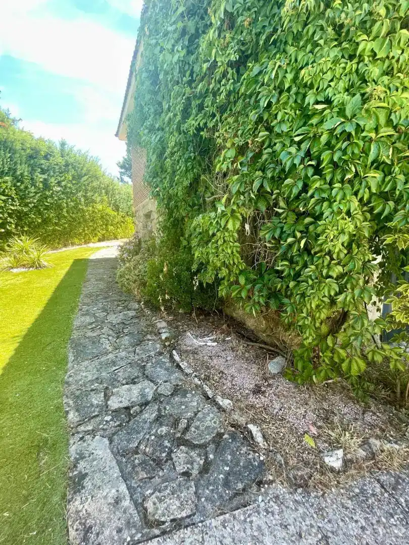 Vista exterior de Casa o chalet en venta en Moralzarzal con Jardín privado, Trastero y Piscina