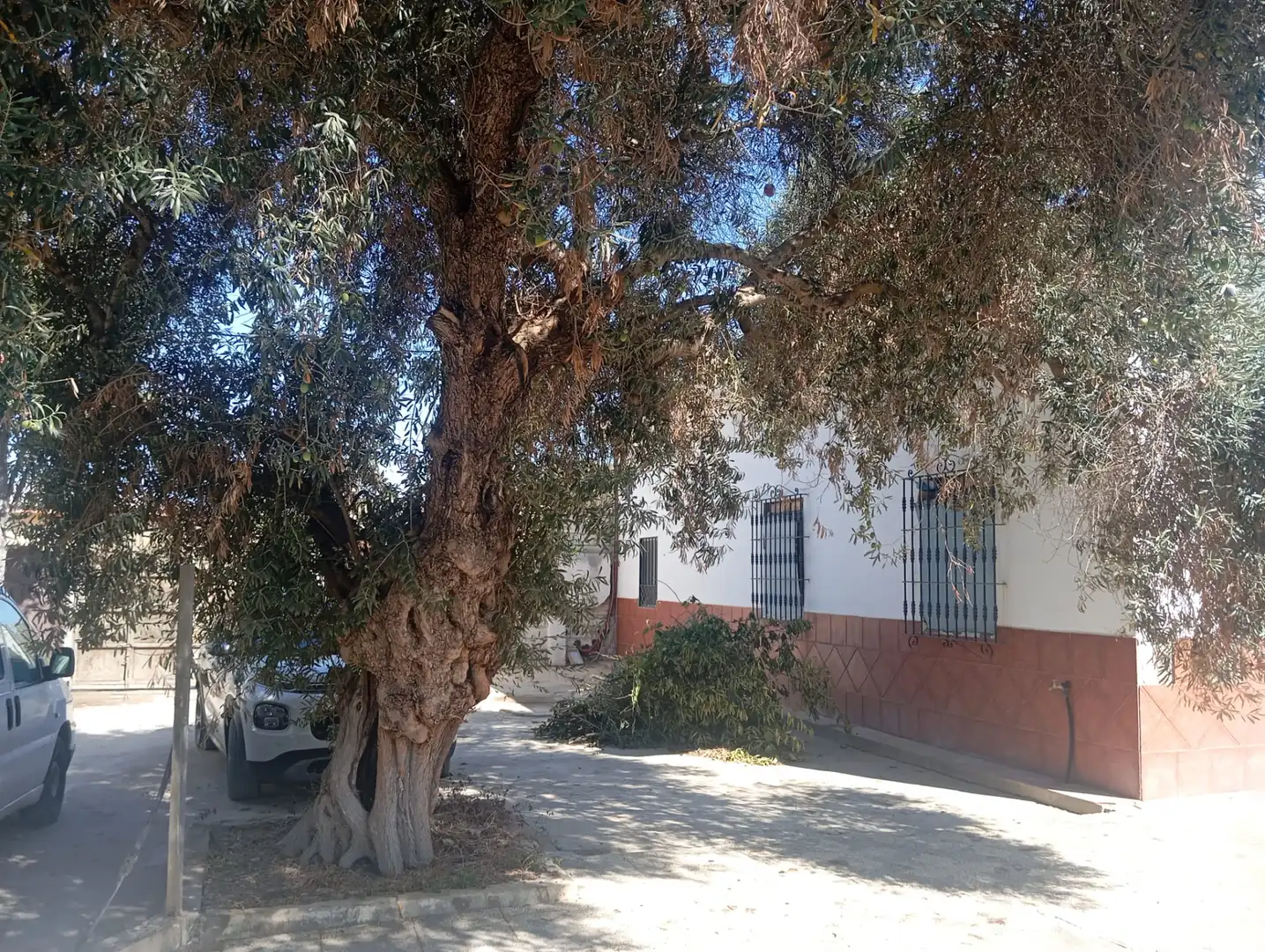 Xalet amb jardí en venda a Urbanización la Hermandad, imagen 47