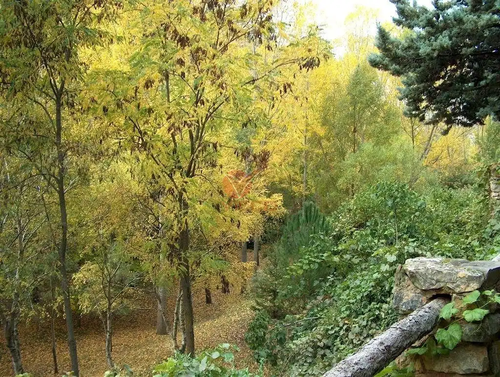 Vista exterior de Casa o chalet en venta en Cuenca con Calefacción, Jardín privado y Trastero