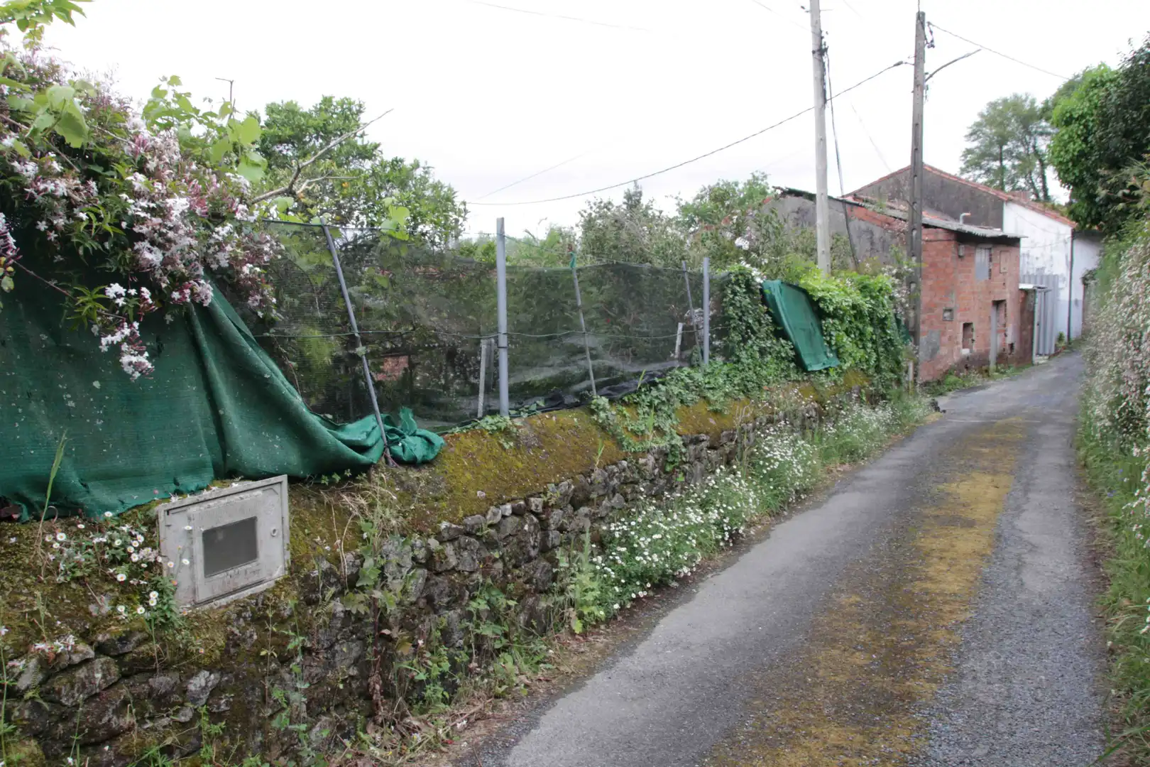 Einfamilien-Reihenhaus zum Verkauf in Padrón