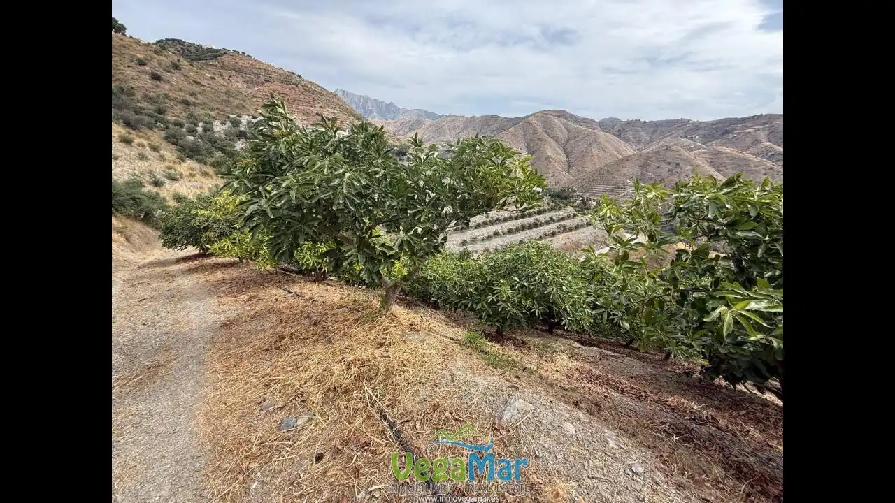 Terreni e lotti in vendita a Lomas Las Pitas, imagen 22