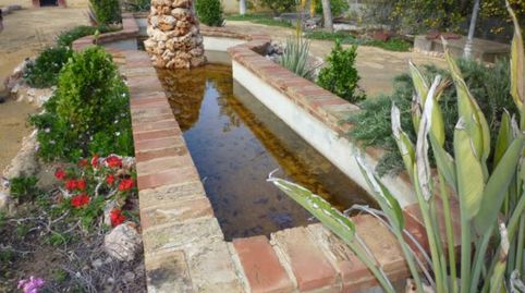 CHALET FINCA EN ZONA ZOCO ALGORFA, imagen 4