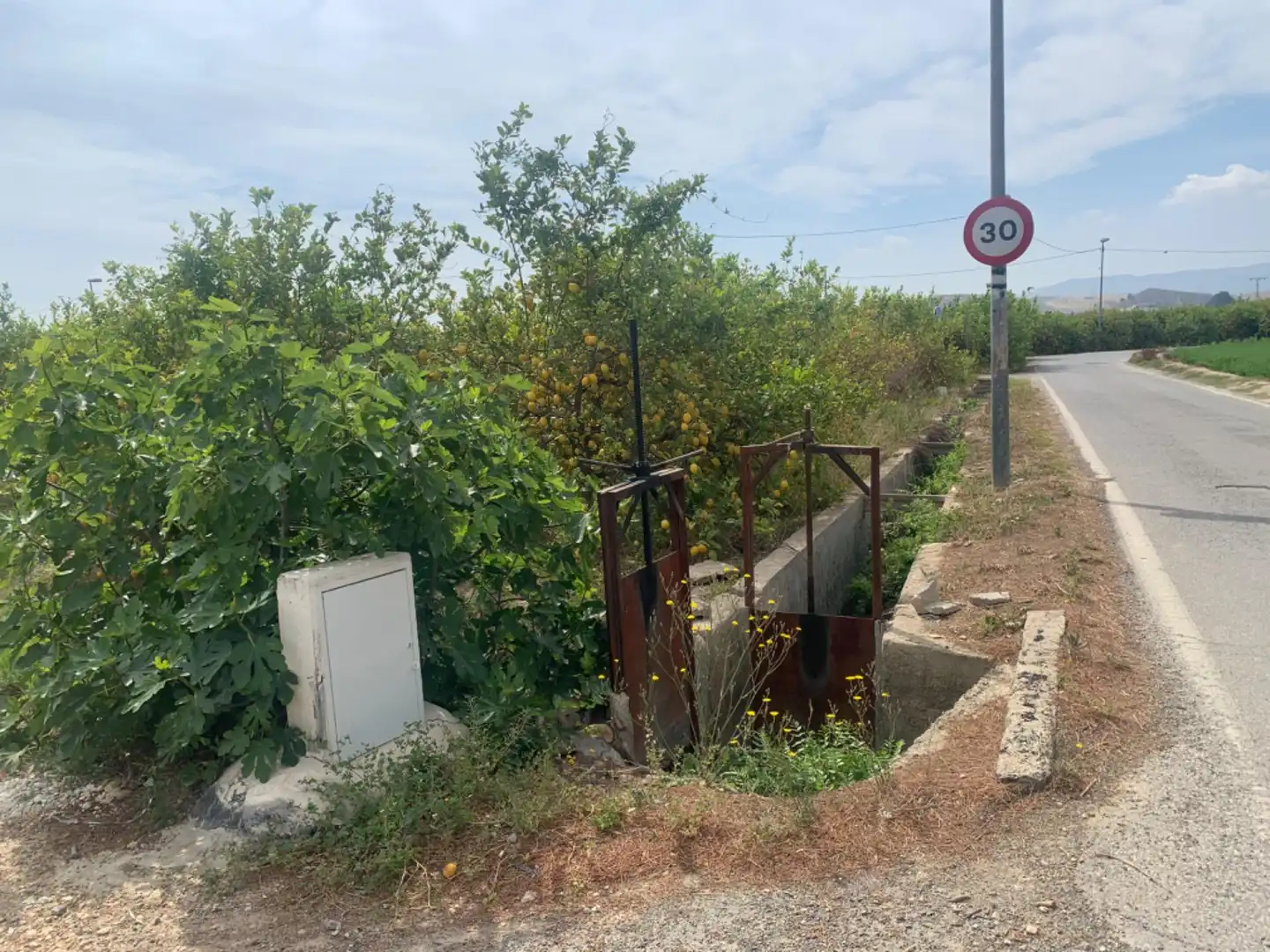 Terrenys i solars en venda a Pedanías Este, imagen 7