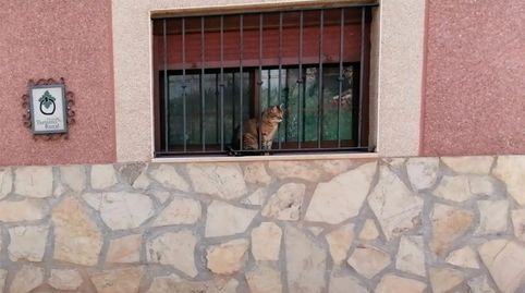Foto 5 de Finca rústica en venda a Calle San Cristóbal, 9, Camarena de la Sierra, Teruel
