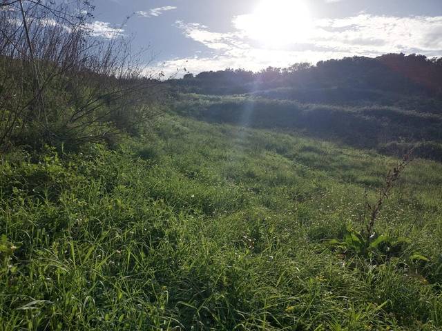 Terreno en Venta en Gonzalianez en Las Mercedes