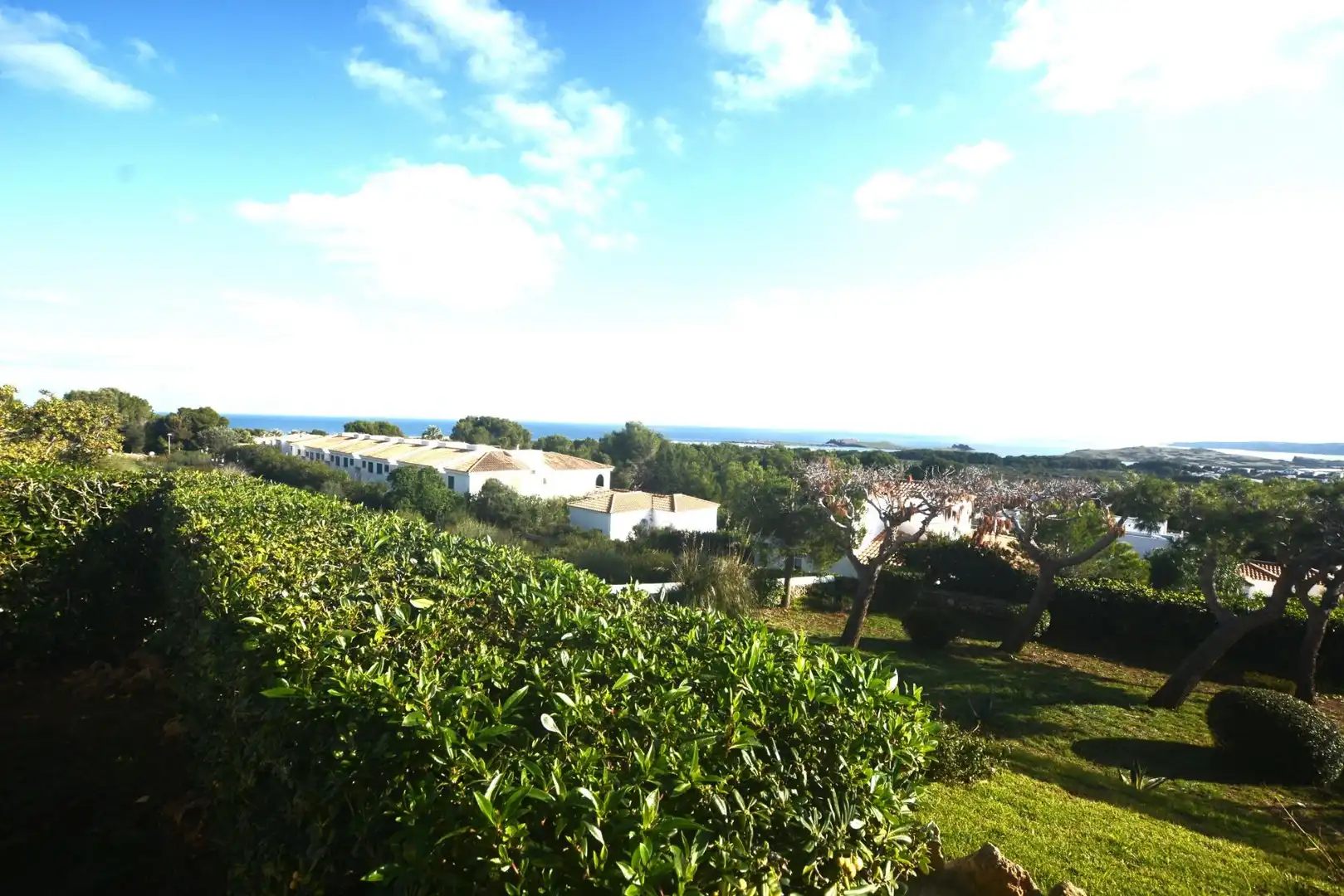 Apartment with garden for sale in Coves Noves, imagen 2
