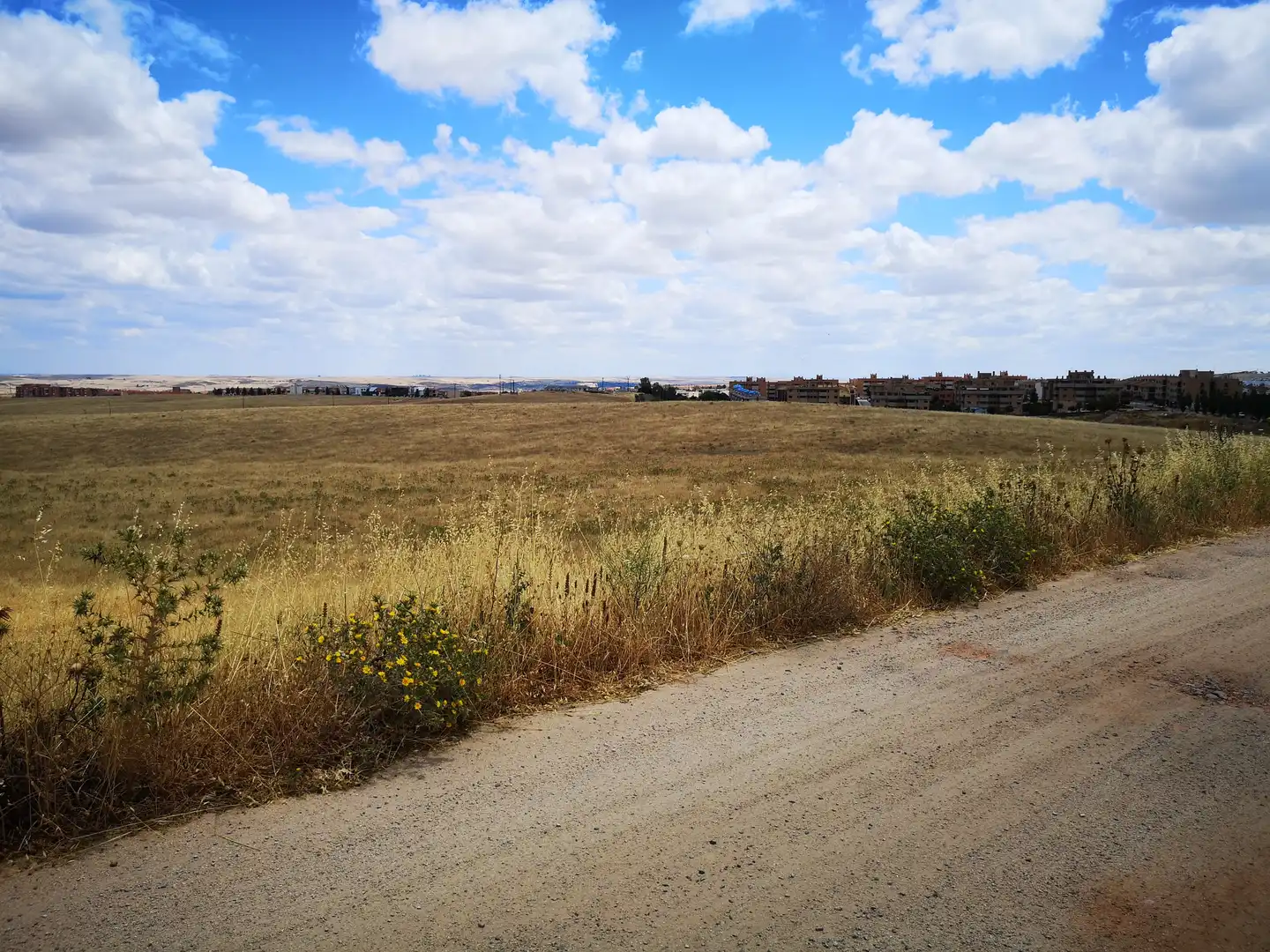 Wohnbaugrundstück zum Verkauf in PARAJE LA MORALEJA POLIGONO 13, PARCELA 105, imagen 3