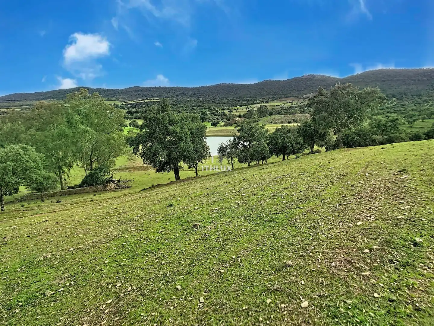 Finca rústica en venda en La Codosera