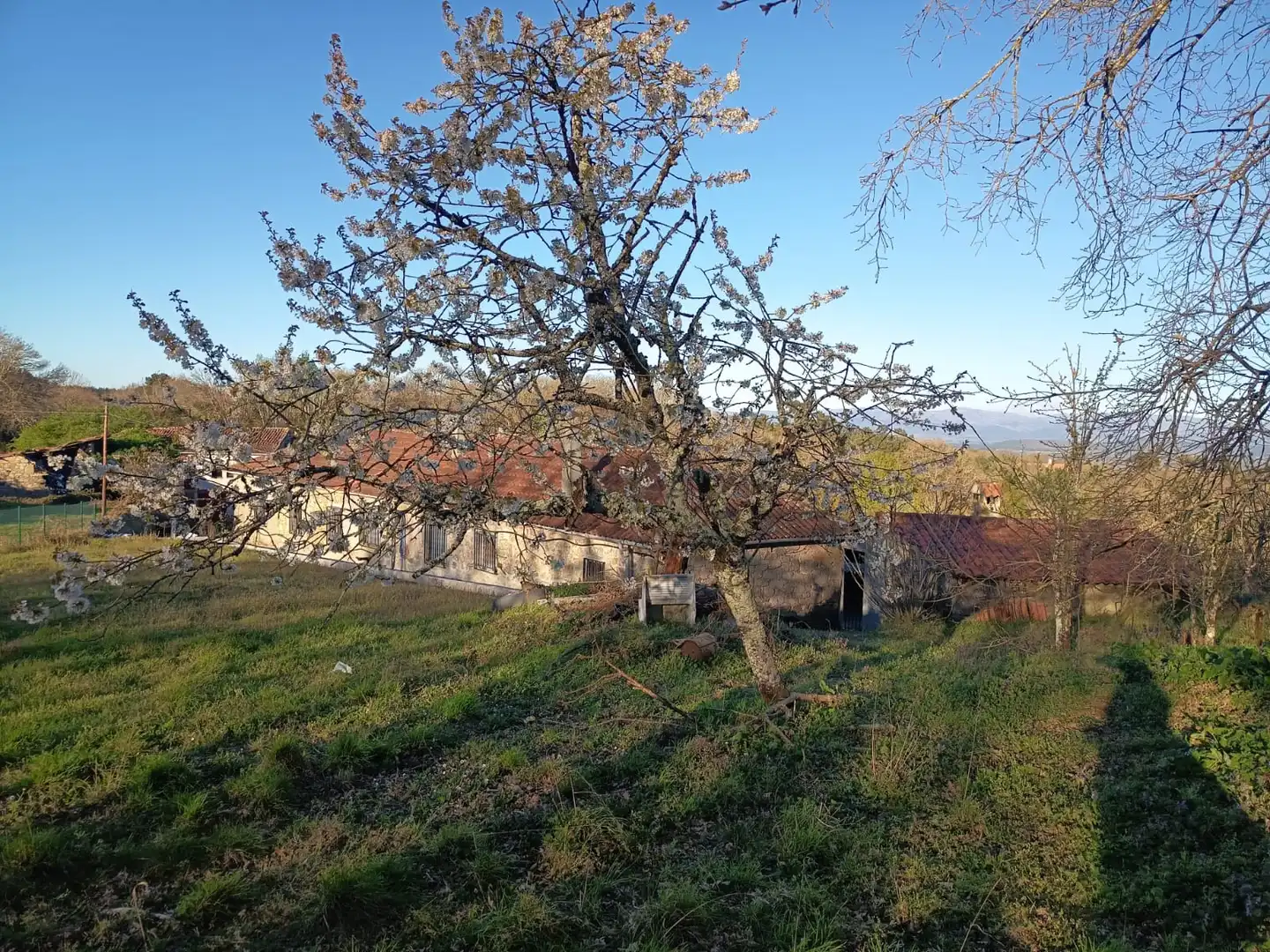 Casa amb terrassa en venda a N/A, imagen 3