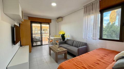 Photo 2 of Study to rent in Zona Carrefour - Urbanizaciones, Alicante