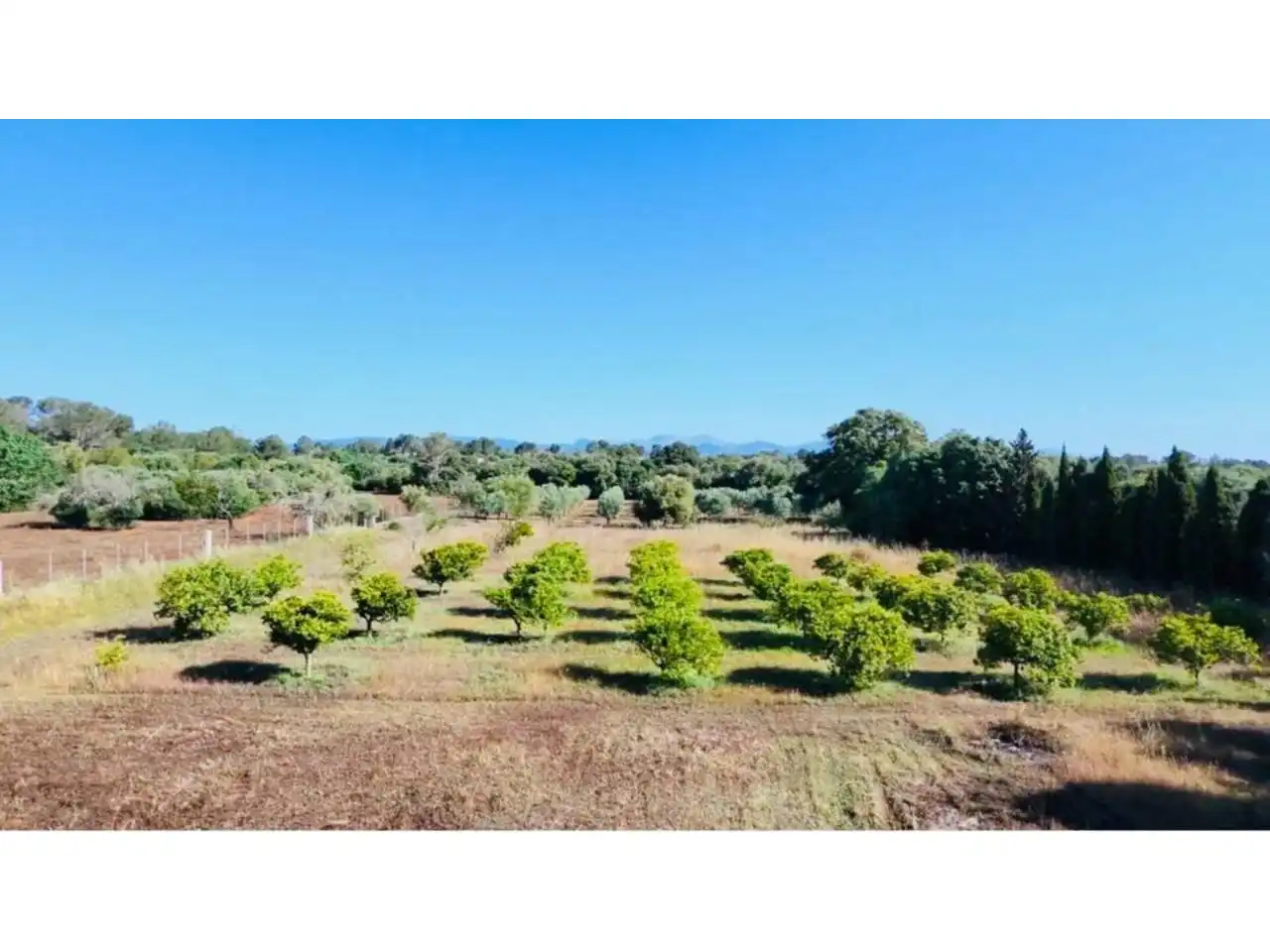 Villa avec piscine à vendre à Camino Son Lluc, imagen 14