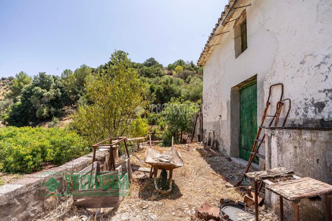 Exterior view of Country house for sale in Tolox