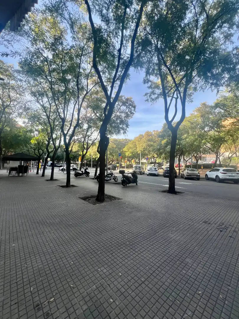Vista exterior de Ático en venta en Sant Boi de Llobregat con Calefacción y Balcón