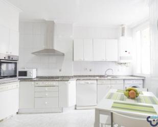 Kitchen of Flat to rent in Donostia - San Sebastián   with Heating, Terrace and Furnished