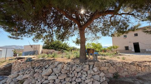 Foto 5 de Finca rústica en venda a La Romana, Alicante