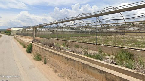 V15220 FINCA CON INVERNADERO, immagine 4