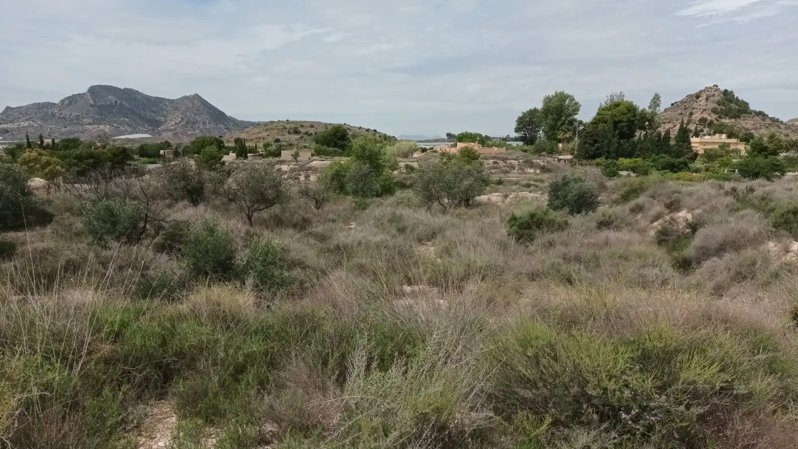 Terrain résidentiel à vendre à Verdegas, imagen 4