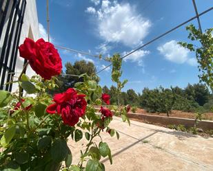 Garden of Country house for sale in Onda  with Community pool