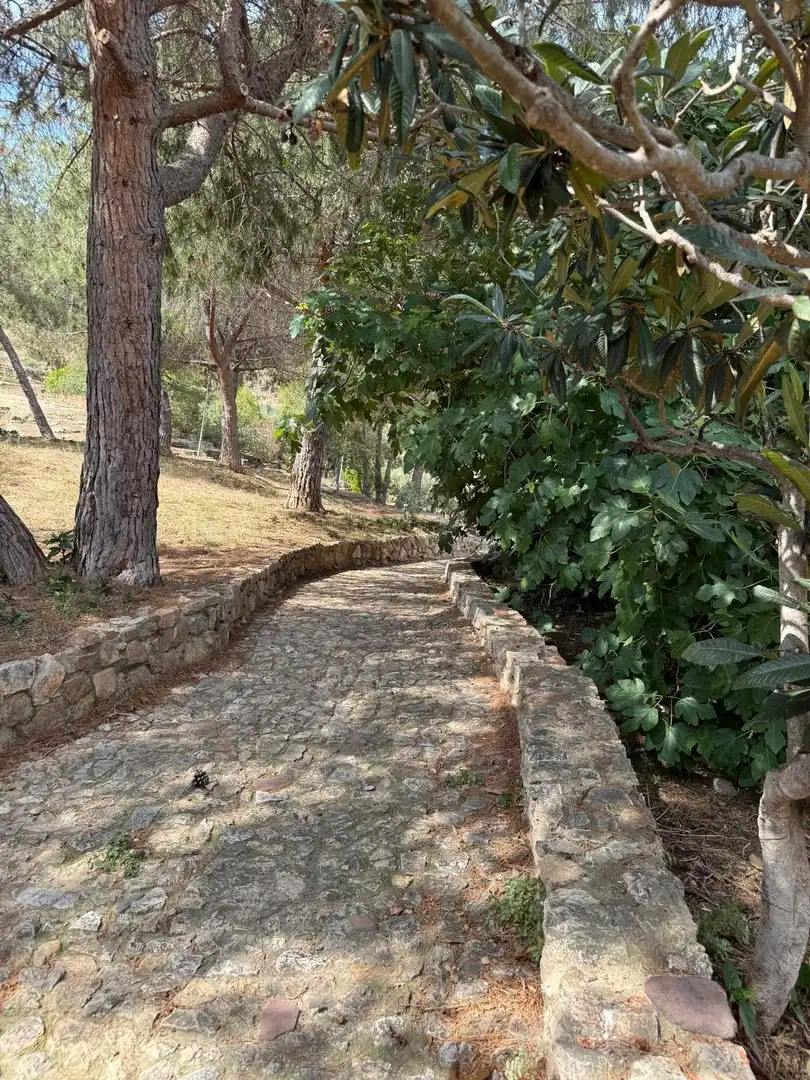 Vista exterior de Casa o xalet en venda en Sagunto / Sagunt