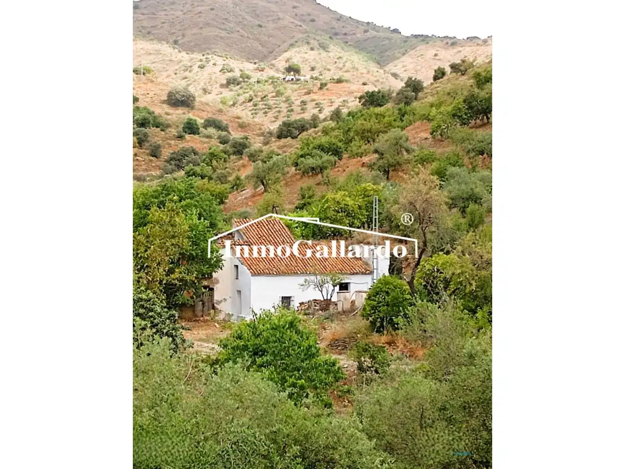 Casa rústica en venta en Este, imagen 2
