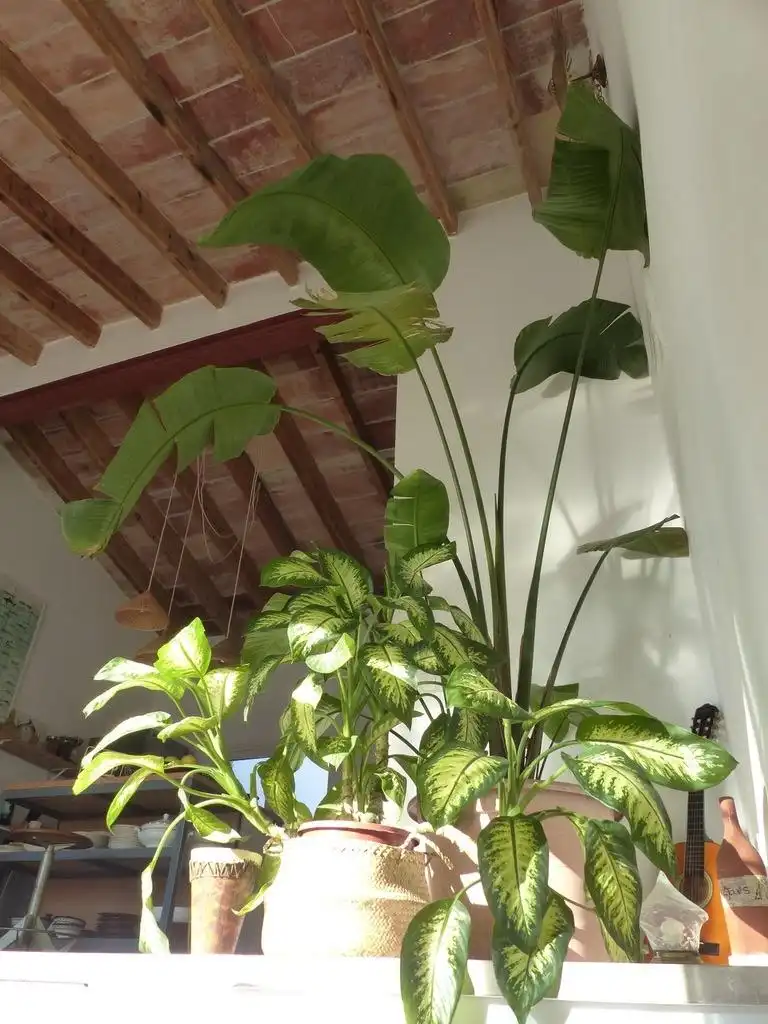 Adosado en venta en Ponent, imagen 29