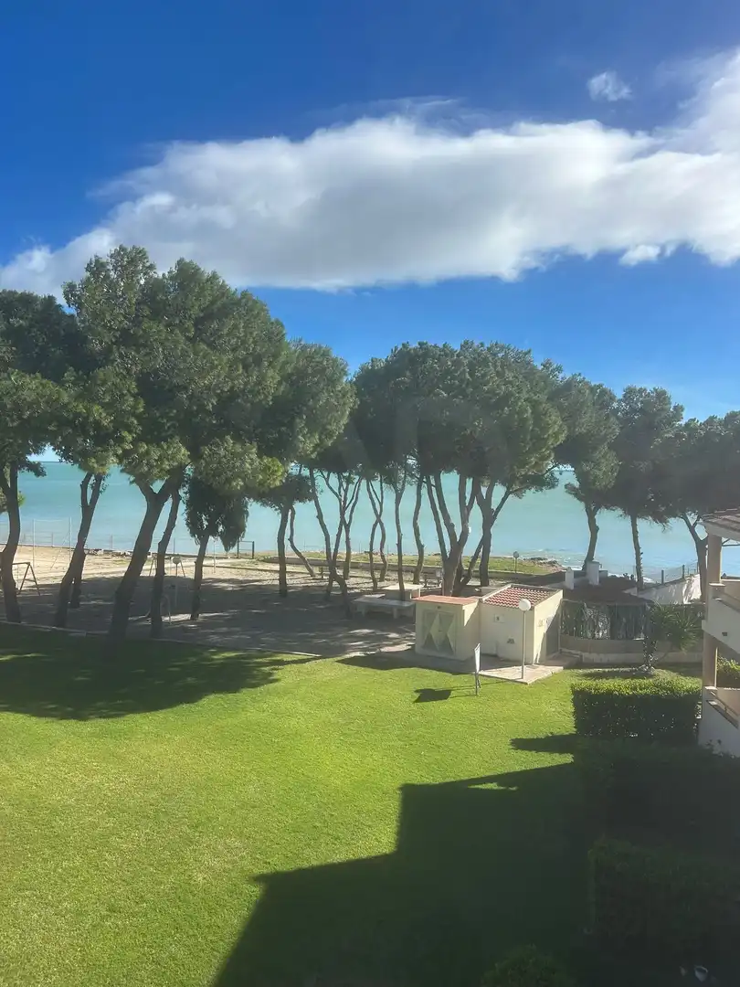 Exterior view of Flat for rent in Alcanar