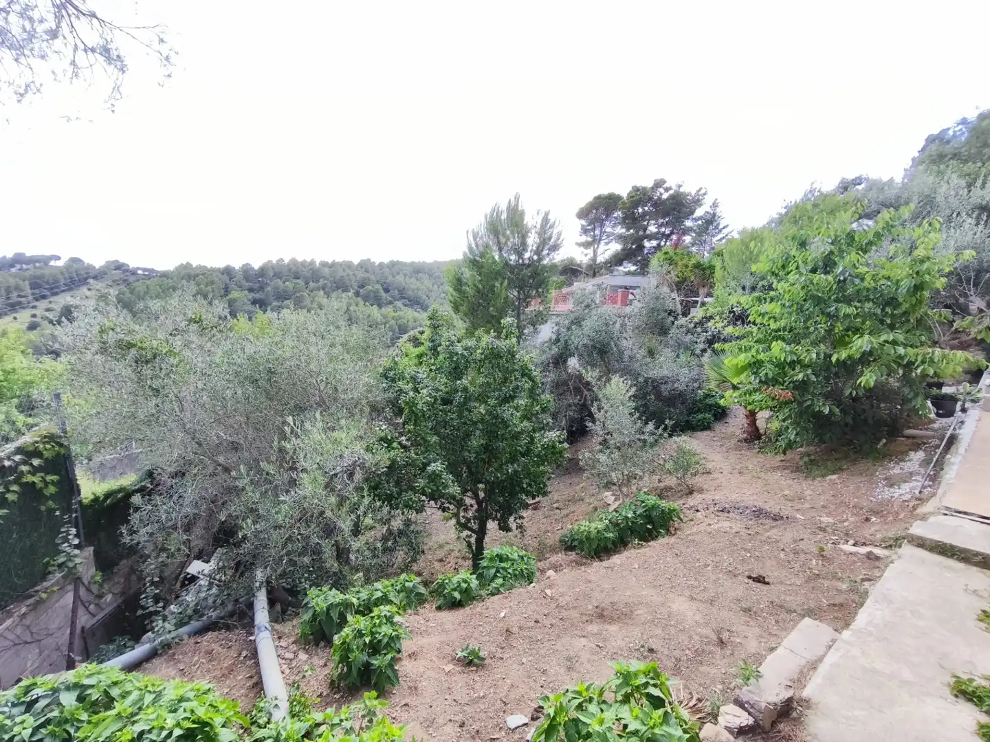 Chalet con terraza en venta en Carrer Arbolí 22, imagen 19