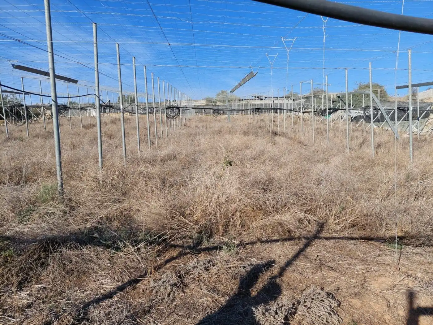Casa rústica en venda a Albuñol, imagen 7