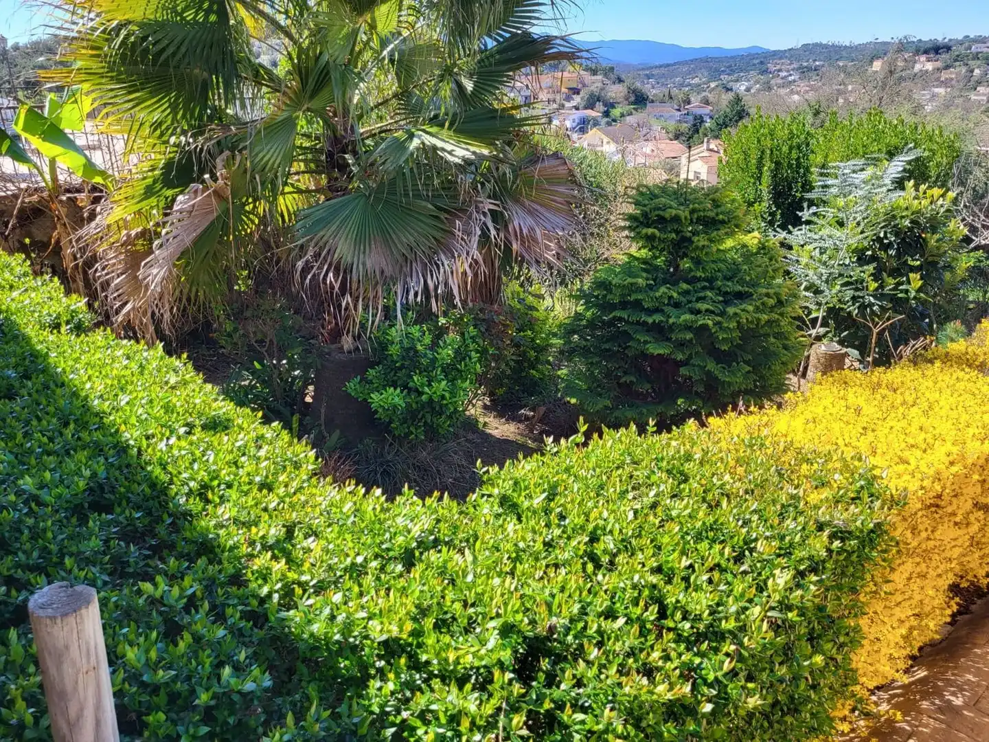 Xalet amb piscina en venda a Calle Cap de Creus, imagen 42