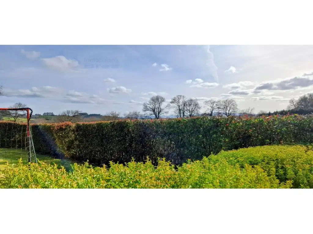 Garden of Houses for sale in Lalín