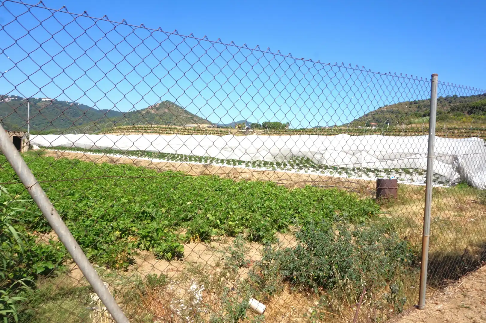 Houses for sale in Pineda de Mar  with Heating, Private garden and Terrace