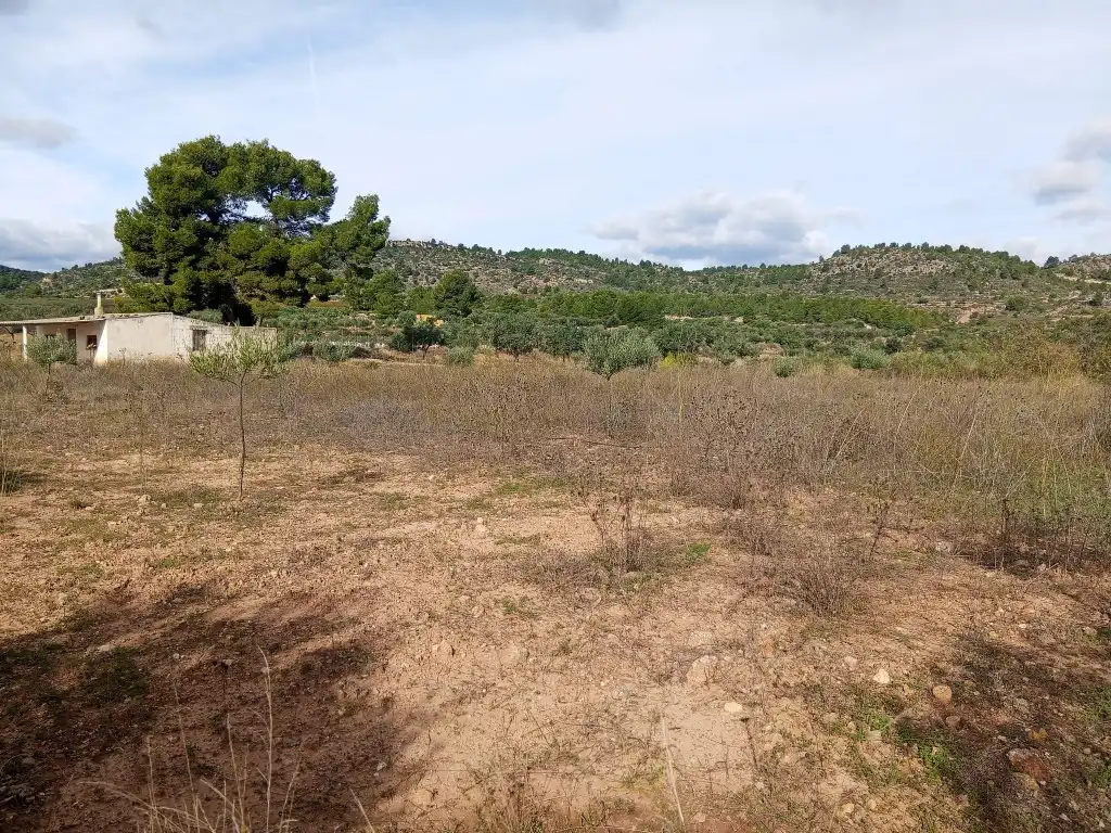 Country homes for sale in Calles