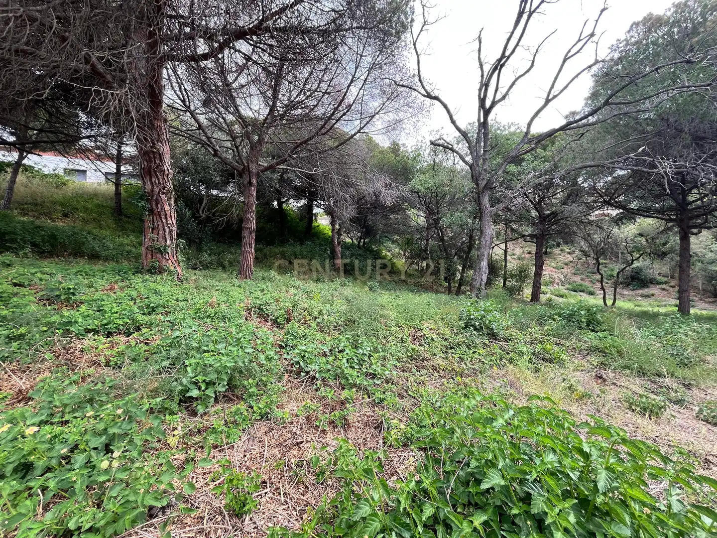 Residencial en venda en Mataró