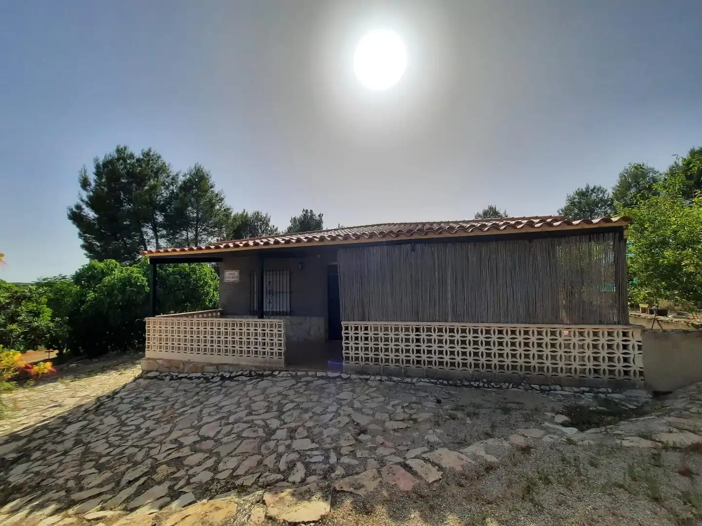Vista exterior de Casa o chalet en venta en Alpera con Amueblado