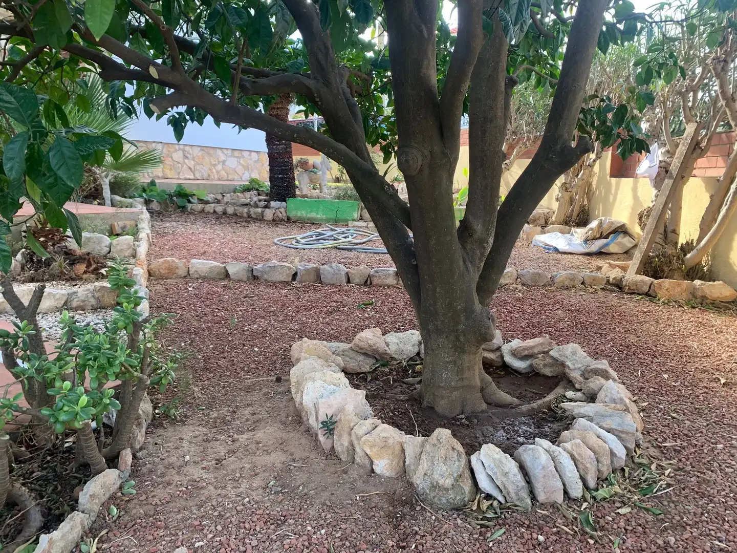Jardí de Casa o xalet en venda en Torredembarra amb Aire condicionat, Calefacció i Jardí privat