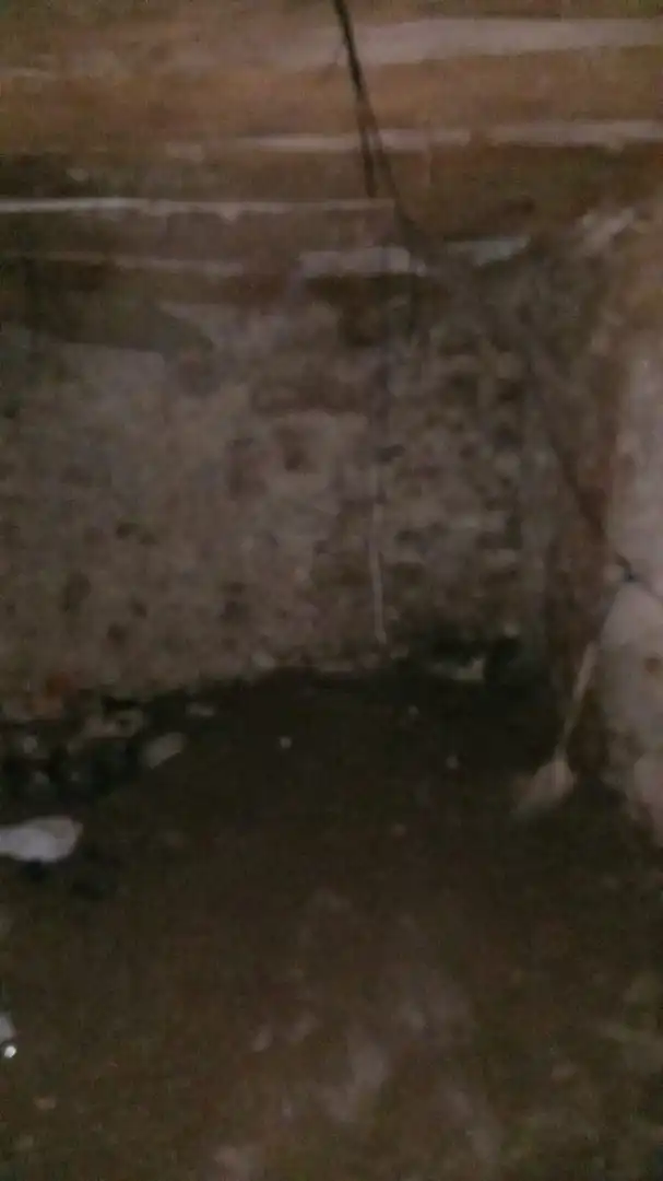 Casa o xalet en venda en Carme amb Terrassa i Alarma