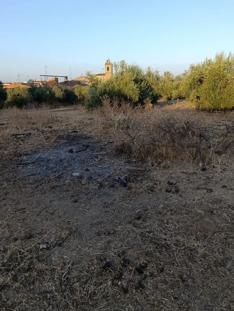 Residential land for sale in Calle San Francisco 43, imagen 7